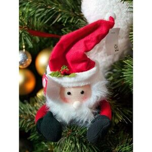 Santa Christmas Tree Top Hugger